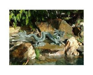 Fountain Creeping Dragon