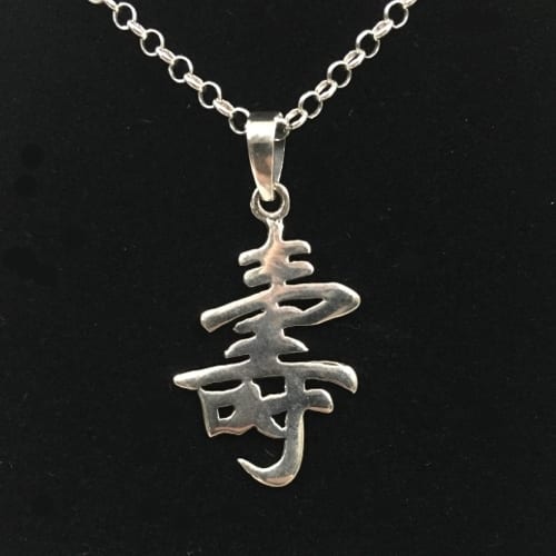 Evangelion THE KISS Plugsuit Series Silver Necklace SV925 Bar type New Japan  | eBay