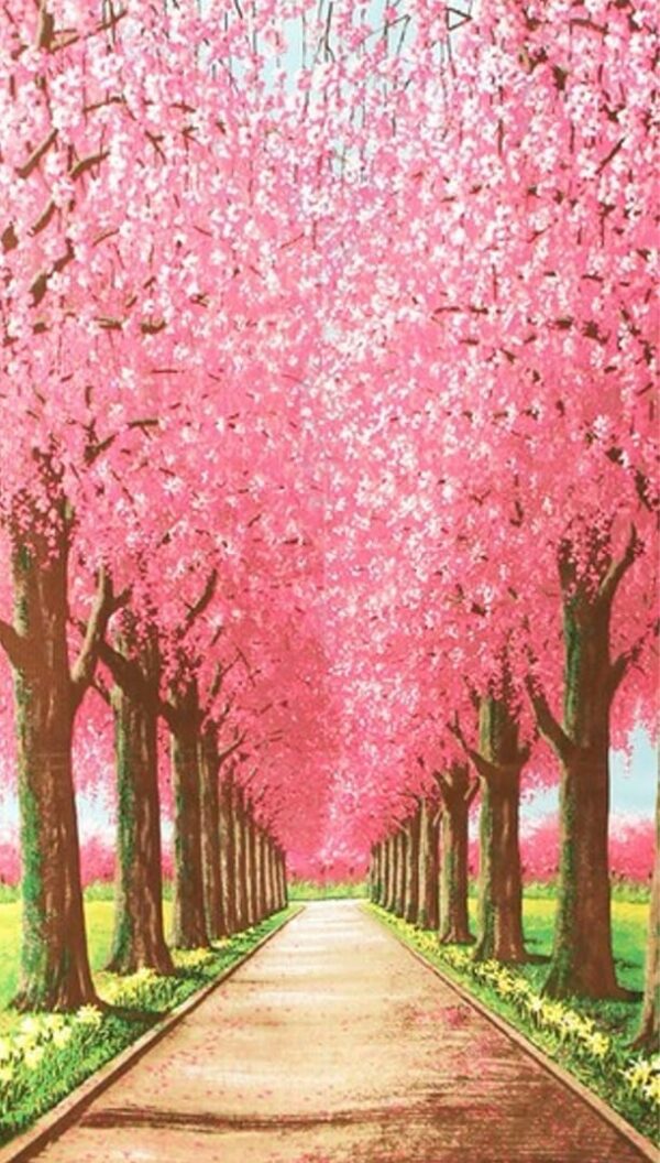 Noren Cherry Blossoms