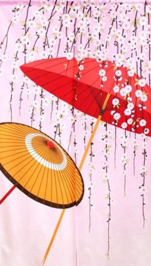 Noren Umbrellas and Cherry Blossoms