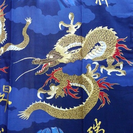 Golden Dragon and Mt. Fuji Navy Happi Coat | Shop