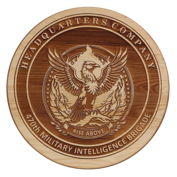 Engraved US Military Coin Wall Display