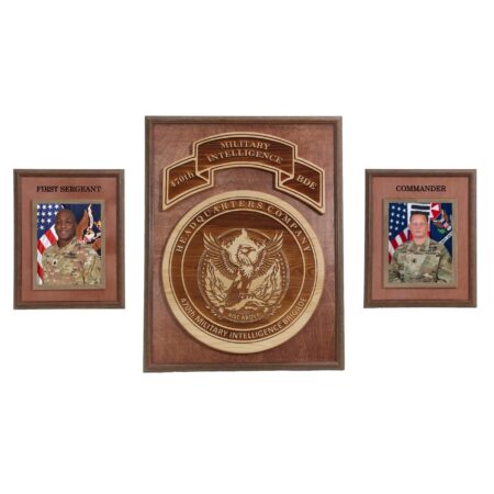 Military Coin, Banner, and Officers Wall Display b