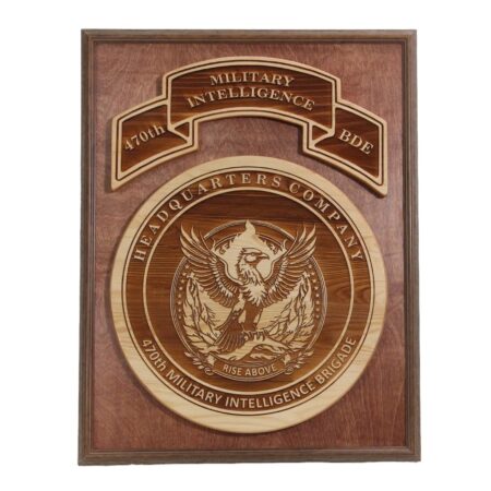 Military Coin and Banner Plaque